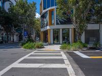 the empty cross walk way between two large buildings in the city park area of an intersection with trees, bushes, and a fire hydrant