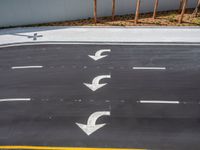 Miami Beach: Aerial View of Palm Tree-Lined Roads