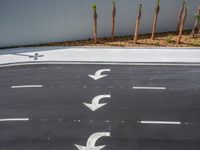 Miami Beach: Aerial View of Palm Tree-Lined Roads