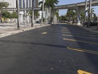 the yellow painted lines in a parking lot are pointing out to palm trees and tall buildings