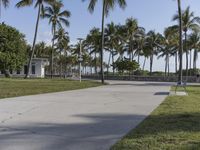 people are walking through palm trees near the sidewalk and walkways in a park area