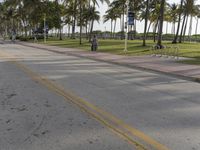 two people are walking down the street by palm trees with bicycles on each side of the road