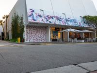 a skateboarder riding down a road past a store front with murals on the building