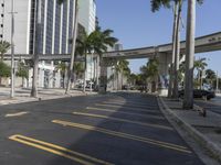 Miami Beach: City Life and Modern Architecture