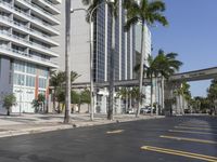 Miami Beach: City Life and Modern Architecture