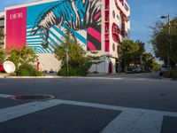 a zebra crossing the street in front of a colorful building on a sunny day in miami