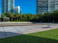 this concrete park features a bench in front of tall buildings and plants surrounding the space