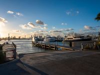 Miami Beach: City Skyline and Coastal Landscape