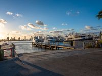 Miami Beach: City Skyline and Coastal Landscape