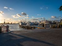 Miami Beach: City Skyline and Coastal Landscape