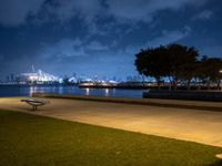 a bench overlooking the water with a big city skyline in the background at night time