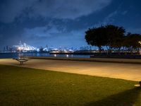 a bench overlooking the water with a big city skyline in the background at night time