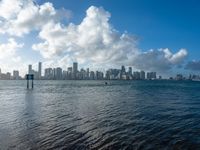 the view from across the water of the city skyline and harbor boats in the water