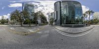 the image shows a view looking up a city street from a fish eye lens of the view looking over some tall buildings