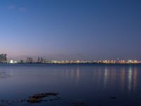 the skyline lights up in the blue night sky in this wide view of a harbor