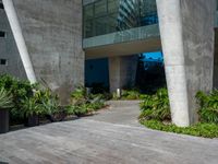 a small skateboard in front of some tall grey buildings and green plants and trees