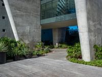 a small skateboard in front of some tall grey buildings and green plants and trees