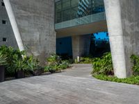 a small skateboard in front of some tall grey buildings and green plants and trees