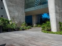 a small skateboard in front of some tall grey buildings and green plants and trees