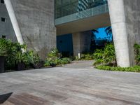 a small skateboard in front of some tall grey buildings and green plants and trees