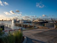 the sun is rising over boats docked near the dock on a clear day and blue skies and fluffy clouds