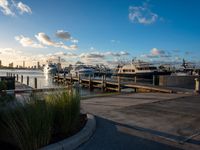 the sun is rising over boats docked near the dock on a clear day and blue skies and fluffy clouds