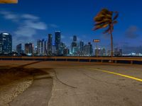 an empty city at night with a wind blowing palm tree in the foreground and a view of a big city