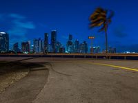 an empty city at night with a wind blowing palm tree in the foreground and a view of a big city