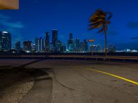 an empty city at night with a wind blowing palm tree in the foreground and a view of a big city