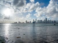 a large body of water near the beach and a tall city with lots of trees