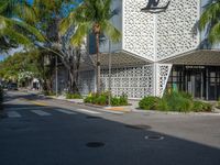 a tree lined sidewalk leads through the palm trees on this sunny day at a business