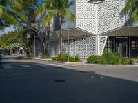 a tree lined sidewalk leads through the palm trees on this sunny day at a business