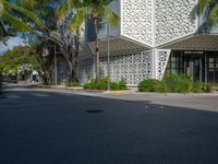 a tree lined sidewalk leads through the palm trees on this sunny day at a business