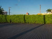 the view of a city in the sun with some palm trees next to the boardwalk