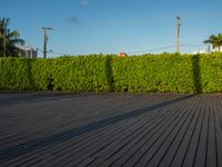 the view of a city in the sun with some palm trees next to the boardwalk