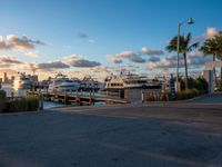 Miami Beach at Dawn: Beautiful Coastline and Ocean Views