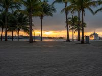 the sun is setting over the harbor with palm trees and a statue in the foreground