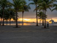 the sun is setting over the harbor with palm trees and a statue in the foreground