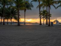 the sun is setting over the harbor with palm trees and a statue in the foreground