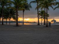 the sun is setting over the harbor with palm trees and a statue in the foreground