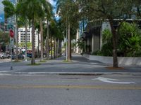 a couple of cars are driving down the road near palm trees with buildings in the background