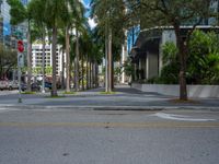 a couple of cars are driving down the road near palm trees with buildings in the background