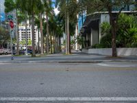 a couple of cars are driving down the road near palm trees with buildings in the background