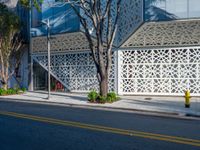 a tree near a fire hydrant and the side of a building with a pattern on the side