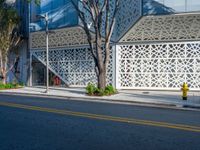 a tree near a fire hydrant and the side of a building with a pattern on the side