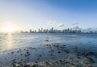 city skyline with boats in the distance as seen from miami beach florida photograph by ©onold com