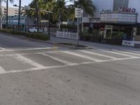 the crosswalk marks in the cross walk at an intersection with shops, palm trees and a sidewalk