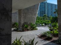 a long walkway leads to many palm trees in the front of this building with concrete columns