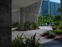 a long walkway leads to many palm trees in the front of this building with concrete columns