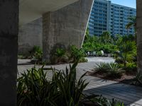 a long walkway leads to many palm trees in the front of this building with concrete columns